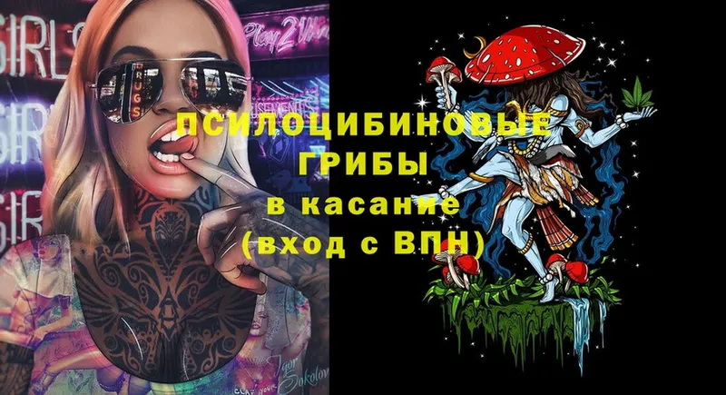 Галлюциногенные грибы Psilocybe  что такое наркотик  Горняк 